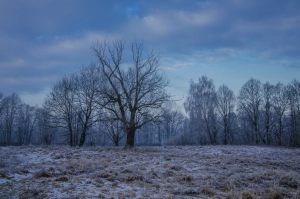 Melancholijny krajobraz_2M_Hradec K